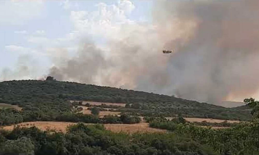 Στον εισαγγελέα ο 30χρονος για τη φωτιά στη Νιγρίτα Σερρών- «Και η αμέλεια είναι εγκληματική ενέργεια» τονίζει ο Κικίλιας